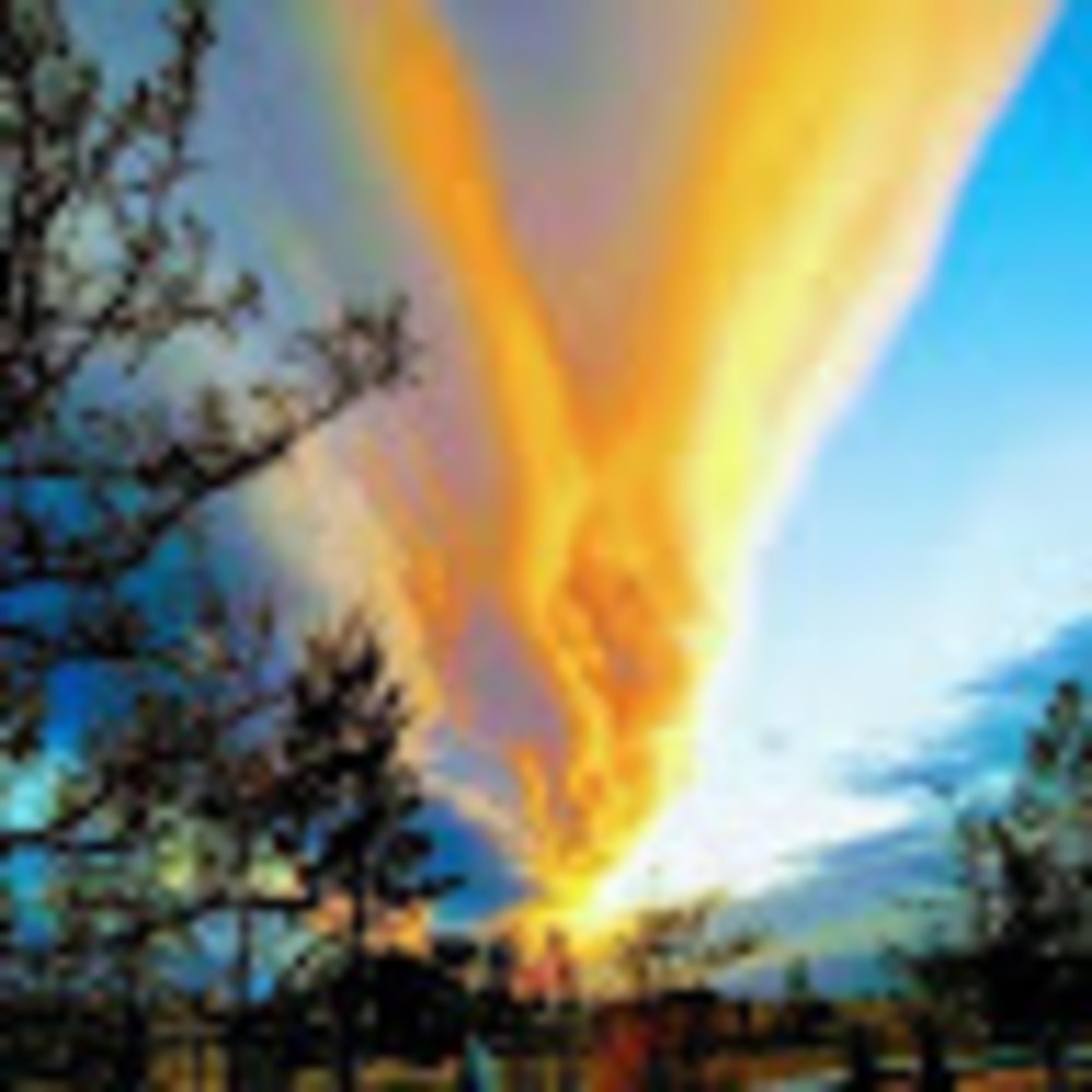 Meet your Posher, Dan